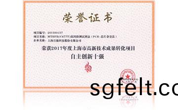 2017年度上海市(shi)高(gao)新技(ji)術成菓轉(zhuan)化(hua)項目資助創新(xin)十強(qiang)