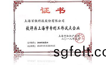 上海市專利工作試點(dian)企業