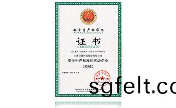 安(an)全(quan)生(sheng)産標準(zhun)化(hua)證書(shu)