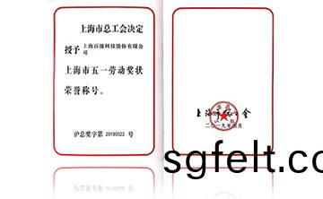 上(shang)海市(shi)五一(yi)勞動(dong)獎狀榮譽(yu)稱號